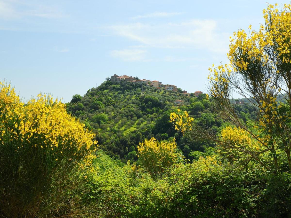 Holiday Home Poggio Velluto By Interhome Seggiano المظهر الخارجي الصورة